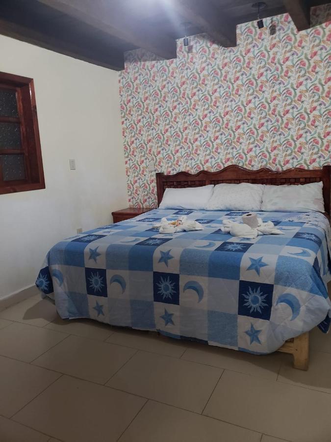 Hotel Arcos Del Carmen San Cristobal de las Casas Ngoại thất bức ảnh